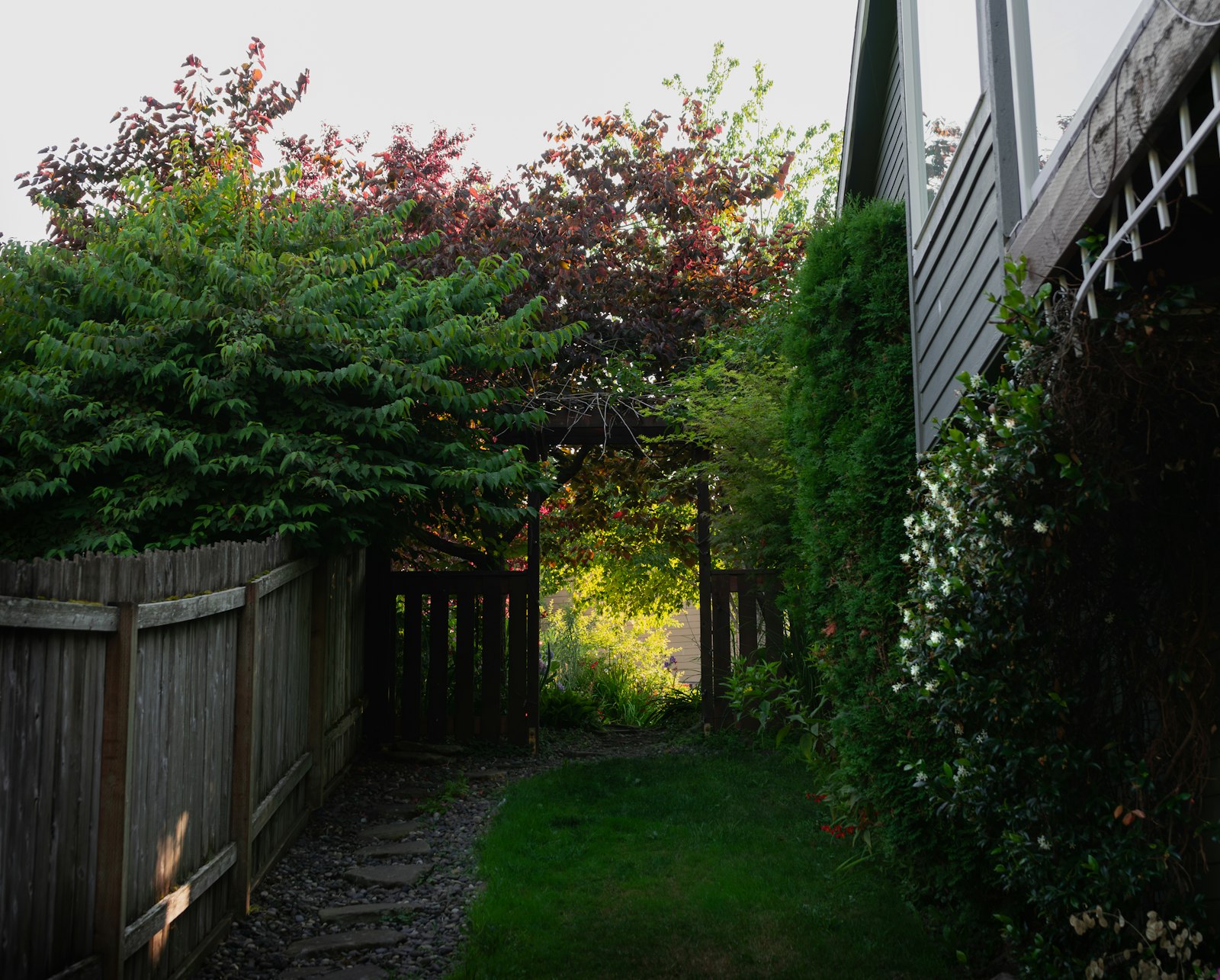 Landscaped backyard garden in Burlington